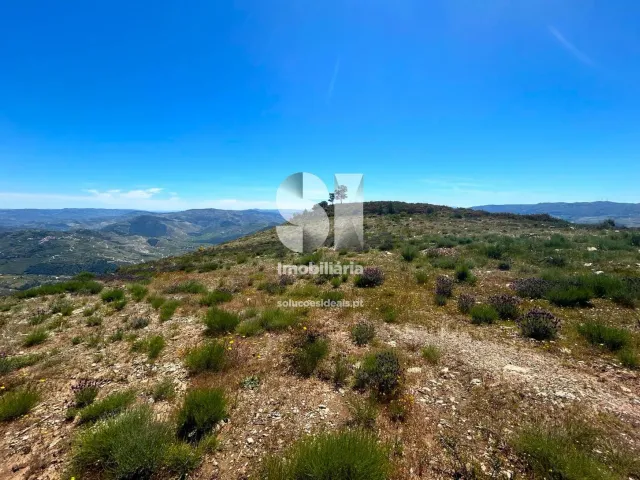 Terreno Urbano T0 - Provesende, Sabrosa, Vila Real - Miniatura: 17/26