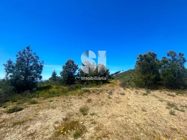 Terreno Urbano T0 - Provesende, Sabrosa, Vila Real - Miniatura: 18/26