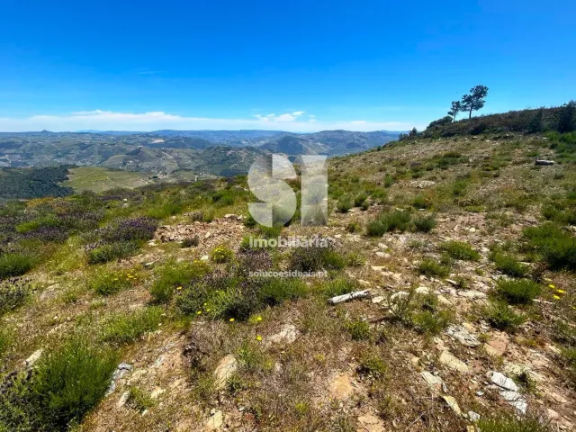 Terreno Urbano T0 - Provesende, Sabrosa, Vila Real - Miniatura: 25/26