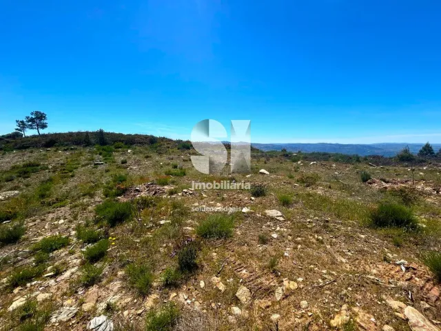 Terreno Urbano T0 - Provesende, Sabrosa, Vila Real - Miniatura: 26/26