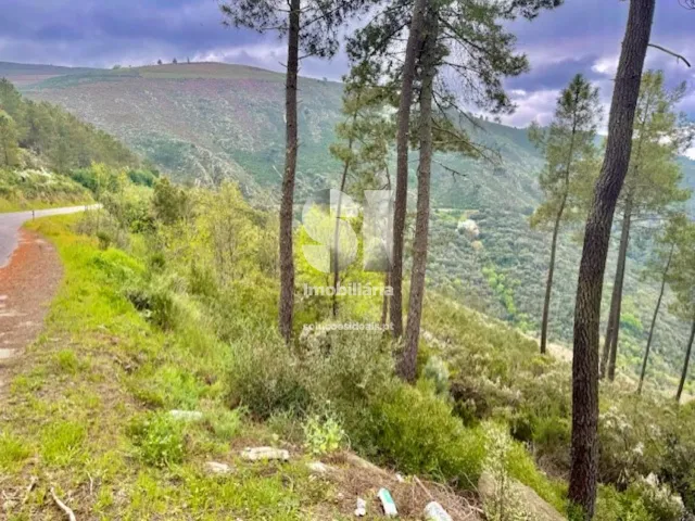 Terreno Urbano T0 - S�o Martinho de Antas e Paradela de Gui�es, Sabrosa, Vila Real - Miniatura: 3/7