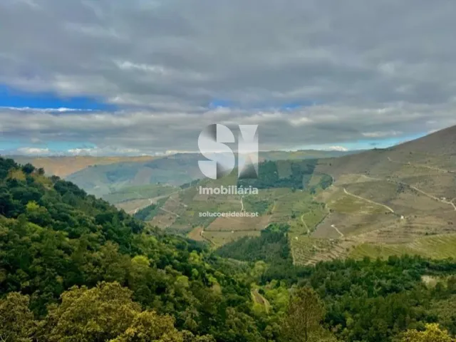 Terreno Urbano T0 - S�o Martinho de Antas e Paradela de Gui�es, Sabrosa, Vila Real - Miniatura: 5/7