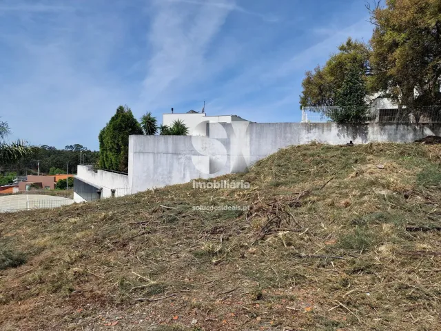 Terreno Urbano T0 - Parada de Todeia, Paredes, Porto - Miniatura: 29/43