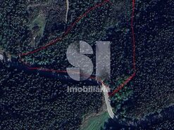 Terreno R�stico T0 - Escariz, Arouca, Aveiro - Miniatura: 2/2