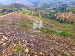 Terreno Urbano T0 - Candedo, Mur�a, Vila Real - Miniatura: 15/30
