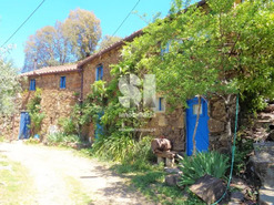 Outros - Figueir� dos Vinhos, Figueir� dos Vinhos, Leiria - Miniatura: 4/15