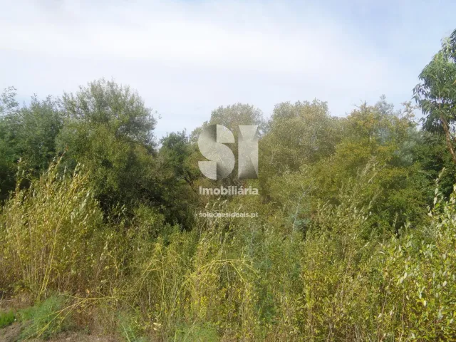 Terreno Urbano T0 - Poiares (Santo Andr�), Vila Nova de Poiares, Coimbra - Imagem grande