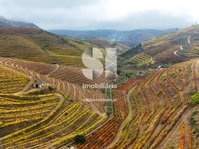 Terreno Urbano T0 - Candedo, Mur�a, Vila Real - Imagem grande