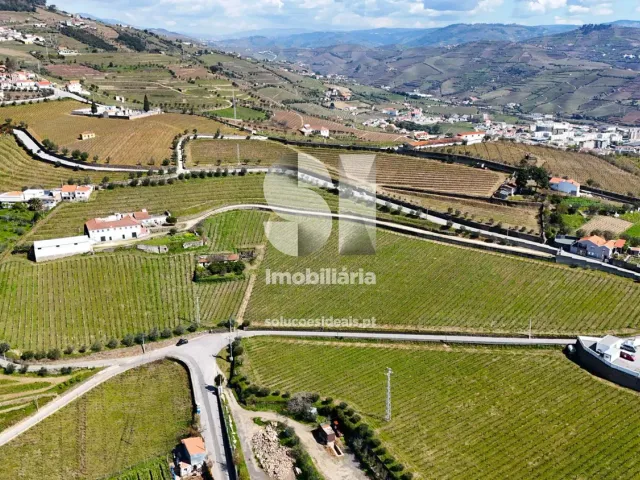 Quinta T3 - Fontelas, Peso da R�gua, Vila Real - Imagem grande