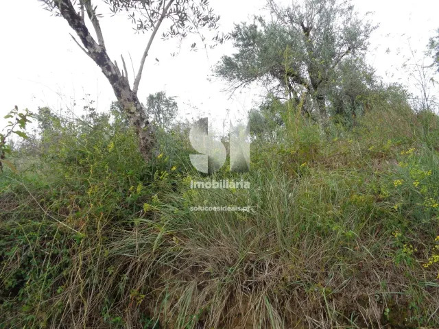 Terreno R�stico T0 - Lous�, Lous�, Coimbra - Imagem grande