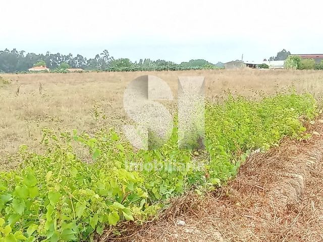 Terreno Urbano T0 - Bustos, Oliveira do Bairro, Aveiro - Imagem grande