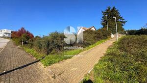 Terreno Rstico - Sabrosa, Sabrosa, Vila Real