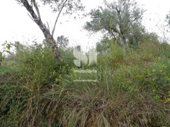 Terreno R�stico T0 - Lous�, Lous�, Coimbra