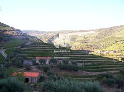 Quinta T1 - Covas do Douro, Sabrosa, Vila Real - Miniatura: 2/11