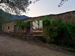 Quinta T1 - Covas do Douro, Sabrosa, Vila Real - Miniatura: 6/11