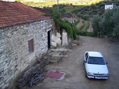 Quinta T1 - Covas do Douro, Sabrosa, Vila Real - Miniatura: 8/11
