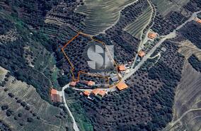 Moradia T4 - Covas do Douro, Sabrosa, Vila Real - Miniatura: 21/24