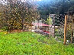 Terreno Rstico - Paradela de Guies, Sabrosa, Vila Real - Miniatura: 4/29