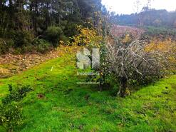 Terreno Rstico - Paradela de Guies, Sabrosa, Vila Real - Miniatura: 7/29