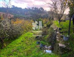 Terreno Rstico - Paradela de Guies, Sabrosa, Vila Real - Miniatura: 8/29