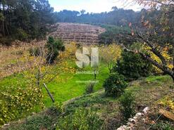 Terreno Rstico - Paradela de Guies, Sabrosa, Vila Real - Miniatura: 10/29