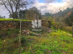 Terreno Rstico - Paradela de Guies, Sabrosa, Vila Real - Miniatura: 12/29