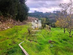 Terreno Rstico - Paradela de Guies, Sabrosa, Vila Real - Miniatura: 18/29