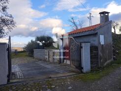 Terreno Rstico - Vilarinho de So Romo, Sabrosa, Vila Real - Miniatura: 1/7