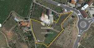 Terreno Rstico - Vilarinho de So Romo, Sabrosa, Vila Real - Miniatura: 7/7