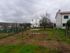 Terreno Rstico - Paos, Sabrosa, Vila Real - Miniatura: 1/19