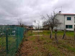 Terreno Rstico - Paos, Sabrosa, Vila Real - Miniatura: 3/19