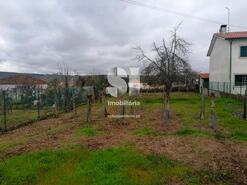 Terreno Rstico - Paos, Sabrosa, Vila Real - Miniatura: 12/19