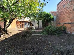 Moradia T3 - Anadia, Anadia, Aveiro - Miniatura: 15/18