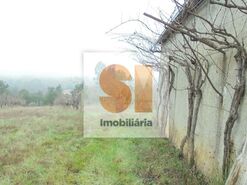 Terreno R�stico T0 - Arrifana, Vila Nova de Poiares, Coimbra - Miniatura: 2/33