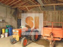 Terreno R�stico T0 - Arrifana, Vila Nova de Poiares, Coimbra - Miniatura: 6/33