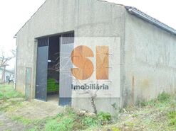 Terreno R�stico T0 - Arrifana, Vila Nova de Poiares, Coimbra - Miniatura: 7/33