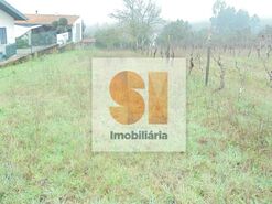 Terreno R�stico T0 - Arrifana, Vila Nova de Poiares, Coimbra - Miniatura: 12/33