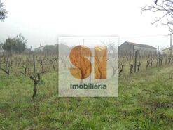 Terreno R�stico T0 - Arrifana, Vila Nova de Poiares, Coimbra - Miniatura: 13/33
