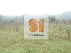 Terreno R�stico T0 - Arrifana, Vila Nova de Poiares, Coimbra - Miniatura: 14/33