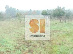 Terreno R�stico T0 - Arrifana, Vila Nova de Poiares, Coimbra - Miniatura: 19/33