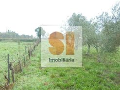 Terreno R�stico T0 - Arrifana, Vila Nova de Poiares, Coimbra - Miniatura: 26/33