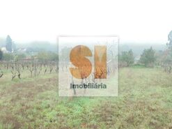 Terreno R�stico T0 - Arrifana, Vila Nova de Poiares, Coimbra - Miniatura: 27/33