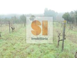 Terreno R�stico T0 - Arrifana, Vila Nova de Poiares, Coimbra - Miniatura: 28/33