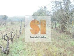 Terreno R�stico T0 - Arrifana, Vila Nova de Poiares, Coimbra - Miniatura: 31/33