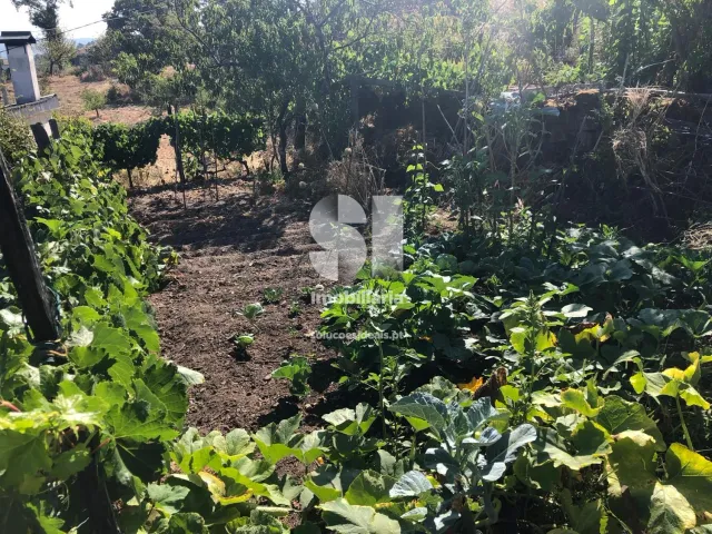 Moradia T0 - Parada de Cunhos, Vila Real, Vila Real - Miniatura: 23/34