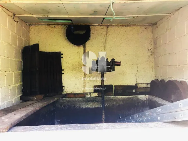 Moradia T0 - Parada de Cunhos, Vila Real, Vila Real - Miniatura: 31/34