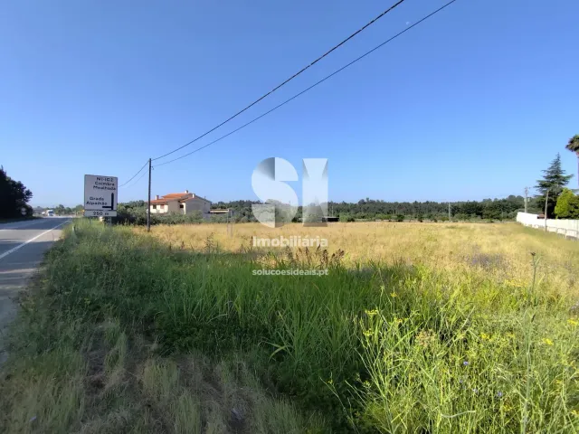 Terreno Urbano T0 - Tamengos, Anadia, Aveiro - Miniatura: 5/8