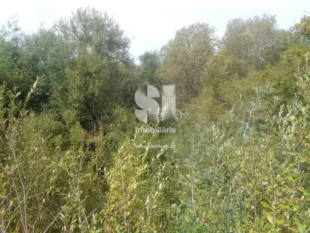 Terreno Urbano T0 - Poiares (Santo Andr�), Vila Nova de Poiares, Coimbra - Miniatura: 2/15