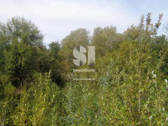 Terreno Urbano T0 - Poiares (Santo Andr�), Vila Nova de Poiares, Coimbra - Miniatura: 3/15