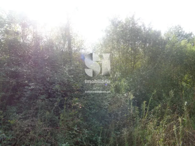 Terreno Urbano T0 - Poiares (Santo Andr�), Vila Nova de Poiares, Coimbra - Miniatura: 8/15